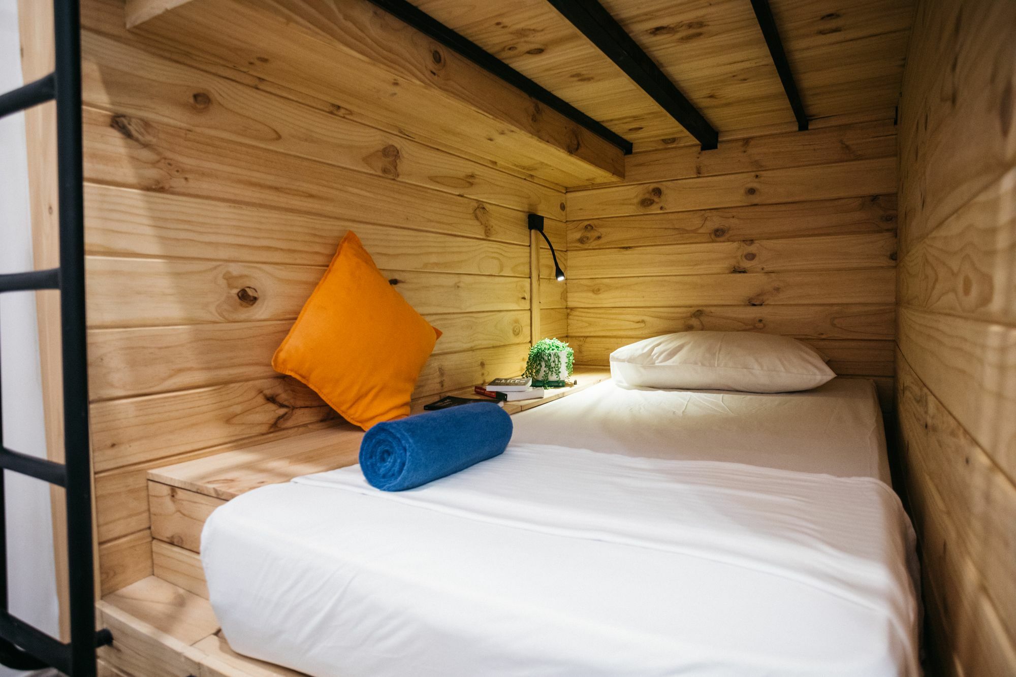 Island Hostels كولمبو المظهر الخارجي الصورة A room at the Tree Hotel